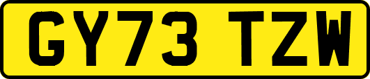 GY73TZW