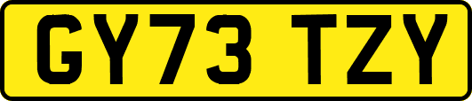 GY73TZY