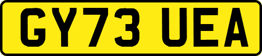 GY73UEA