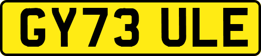 GY73ULE
