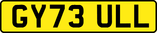 GY73ULL
