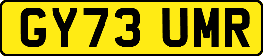 GY73UMR