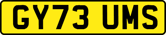GY73UMS