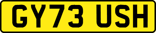 GY73USH