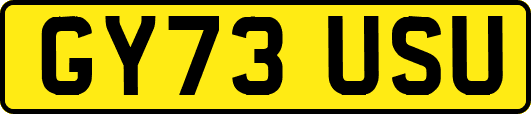 GY73USU