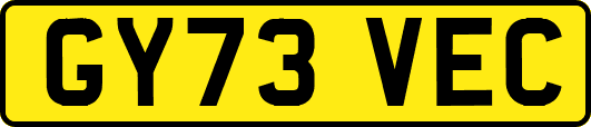 GY73VEC