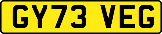 GY73VEG