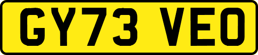 GY73VEO