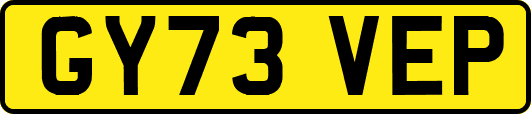 GY73VEP