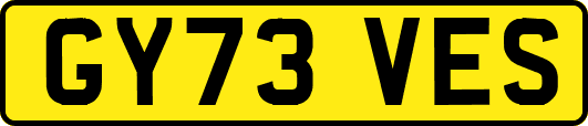 GY73VES