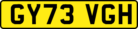 GY73VGH