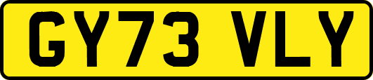 GY73VLY