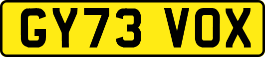 GY73VOX