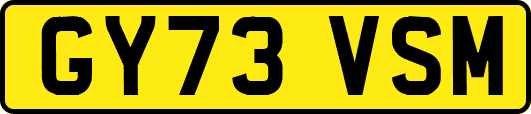 GY73VSM