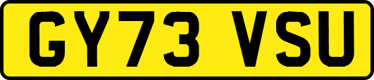 GY73VSU