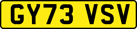 GY73VSV