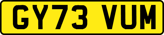 GY73VUM