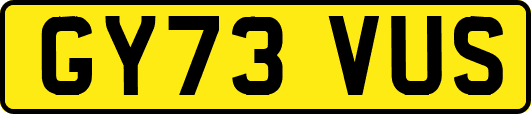 GY73VUS