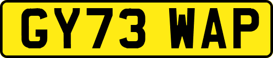 GY73WAP