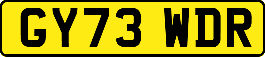 GY73WDR