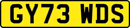 GY73WDS