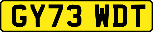 GY73WDT