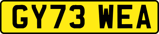 GY73WEA
