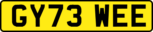 GY73WEE
