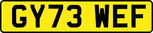 GY73WEF