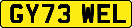 GY73WEL