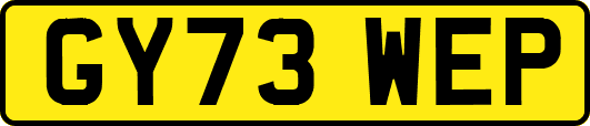 GY73WEP