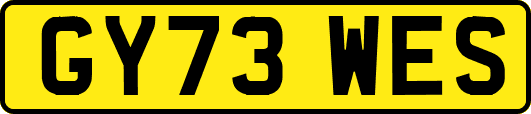 GY73WES