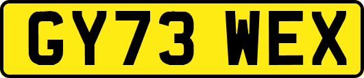 GY73WEX