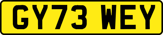 GY73WEY
