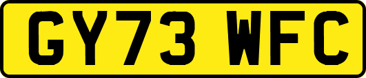 GY73WFC