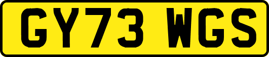 GY73WGS