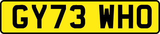 GY73WHO