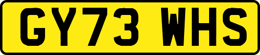 GY73WHS