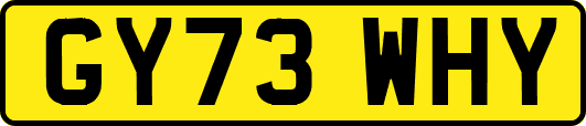 GY73WHY