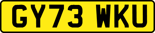 GY73WKU