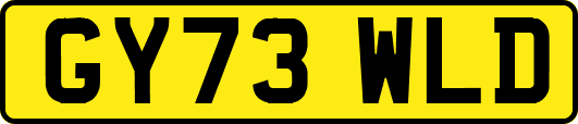 GY73WLD