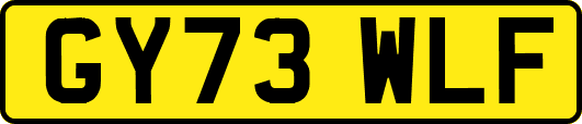 GY73WLF