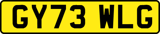 GY73WLG