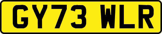 GY73WLR