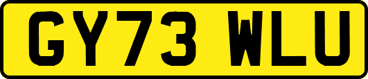 GY73WLU