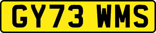 GY73WMS