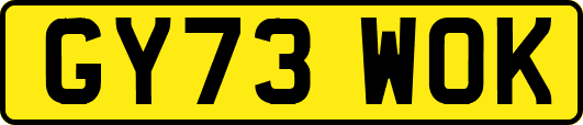 GY73WOK
