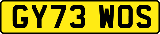 GY73WOS