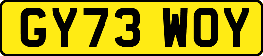 GY73WOY