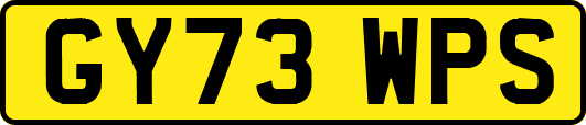 GY73WPS